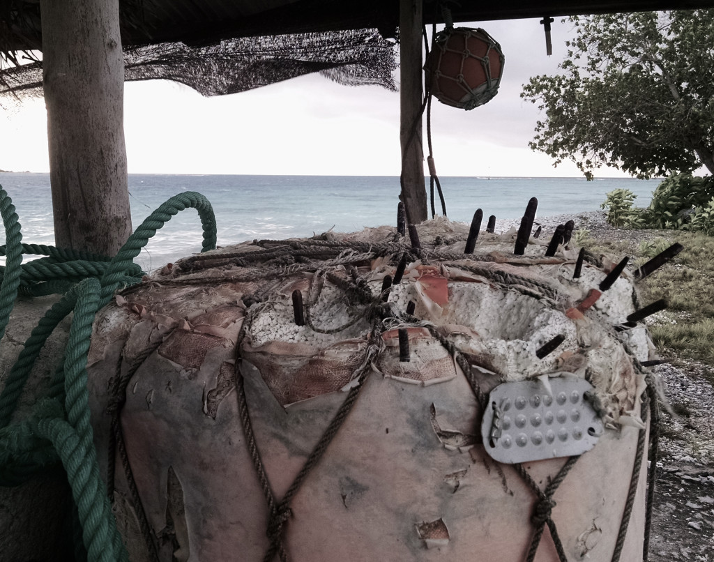 urchin buoy fish shack